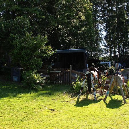Ferienhaus Dell Möhnesee Екстериор снимка